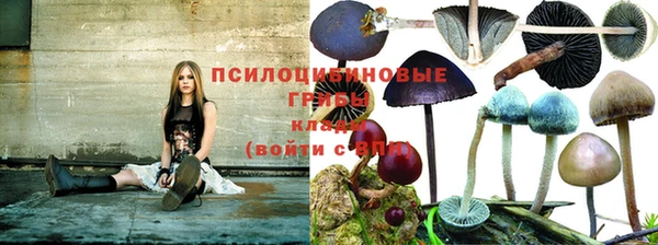 мяу мяу кристалл Нея
