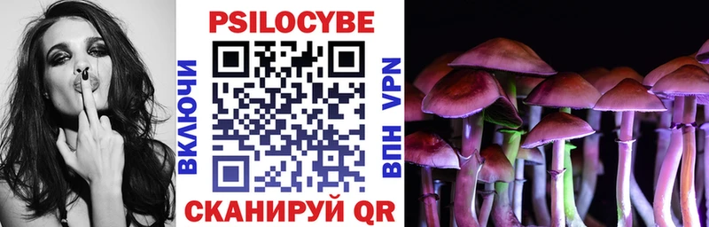 Купить закладки  Кудымкар  Псилоцибиновые грибы прущие грибы 